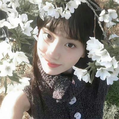 桥王之王